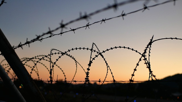 Migrantes